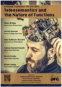 Teleosemantics and the Nature of Functions